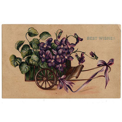 Vintage 1910s Best Wishes Postcard, Purple Violets, Floral Embossed, Helvey Nebraska Postmark - Avid Vintage