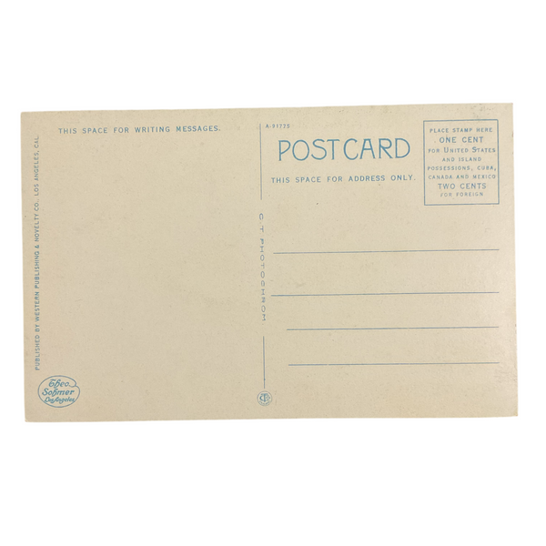 Vintage Post Card 1910s Steamer Avalon Catalina Island California