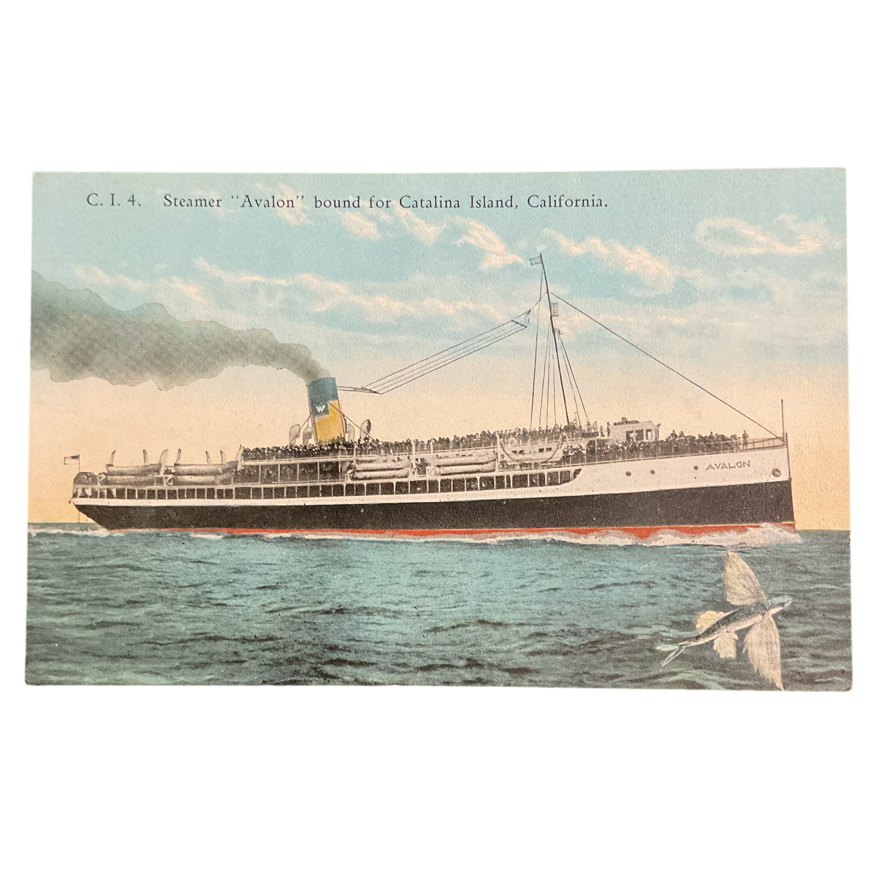 Vintage Post Card 1910s Steamer Avalon Catalina Island California