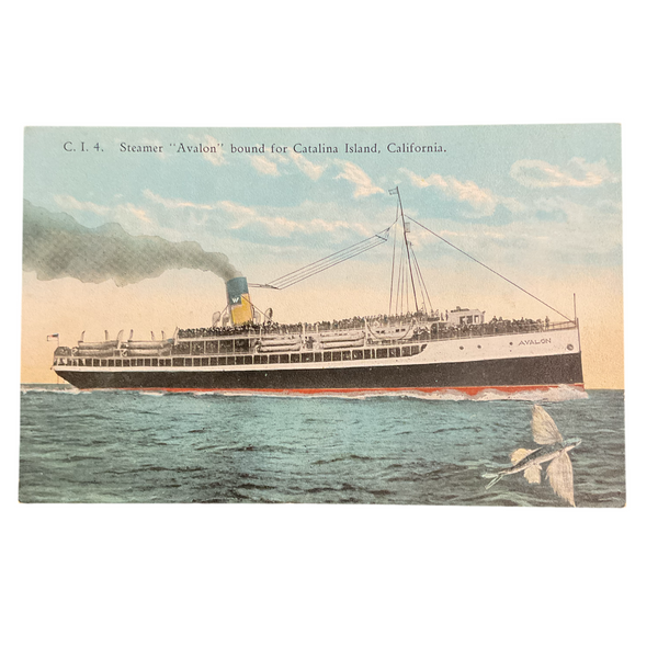 Vintage Post Card 1910s Steamer Avalon Catalina Island California