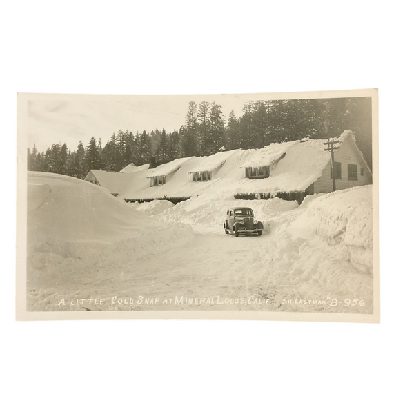 Vintage Real Photo Postcard Mineral Lodge California 1940s RPPC