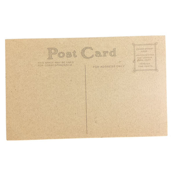 Vintage Thanksgiving Postcard Boys in Boat Large Turkey Unused