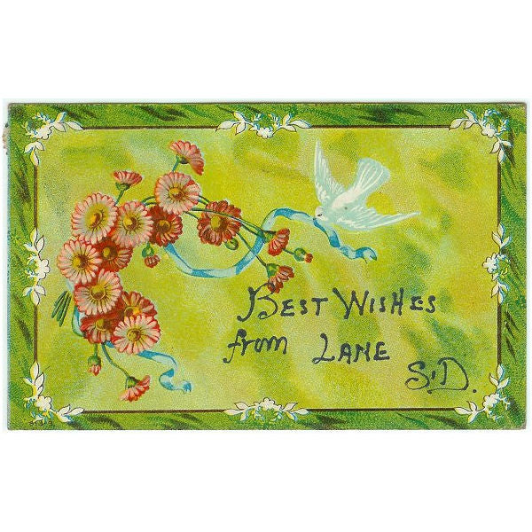 Vintage 1910s Lane South Dakota Floral Greeting Postcard White Dove Best Wishes - Avid Vintage