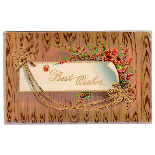 Vintage 1910s Best Wishes Postcard Gold Ribbons Wood Background Ladybug - Avid Vintage