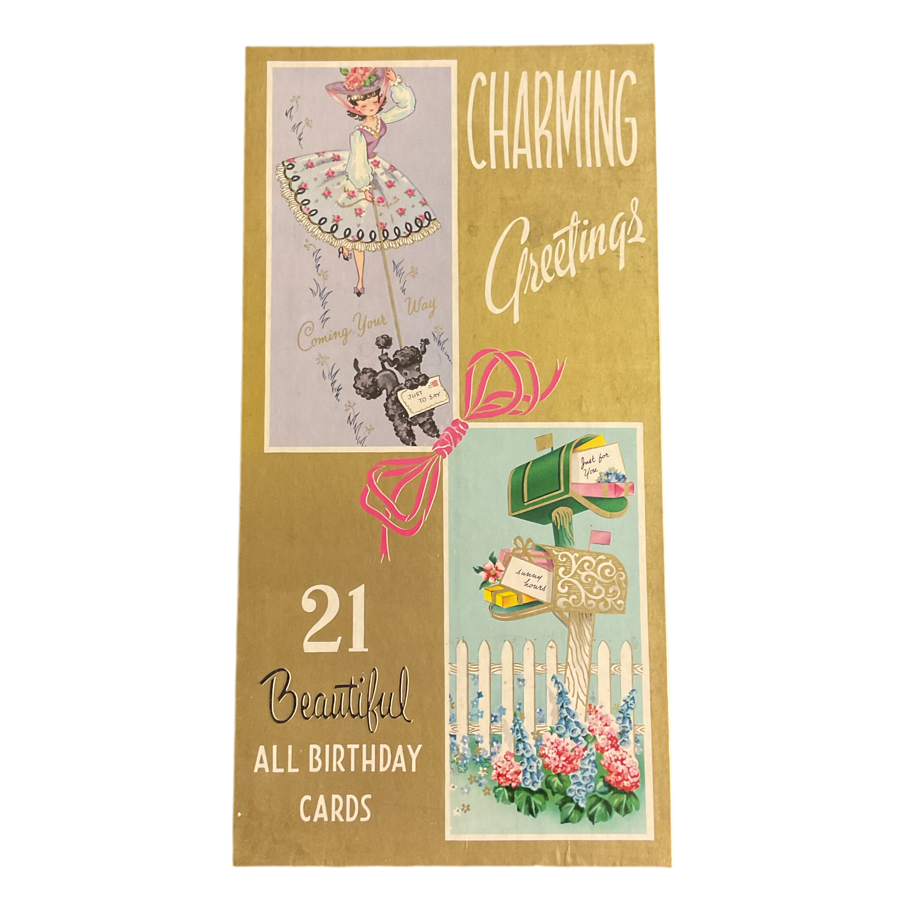 Vintage Greeting Cards Box Empty Lady Walking Poodle