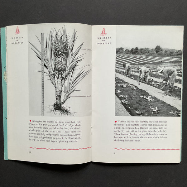 Vintage Book Hawaiian Islands and the Story of Pineapple 1940 History Recipes