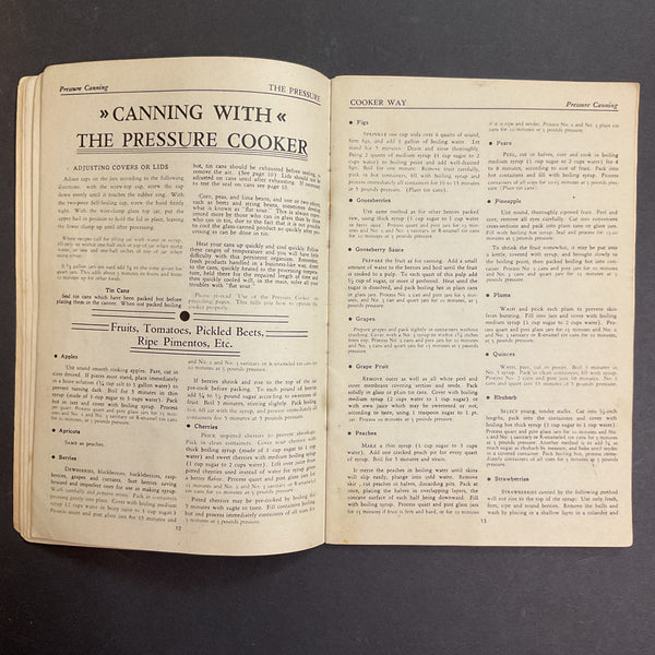 Vintage 1930s Cookbook Health Pressure Cooker Instructions Recipe Book