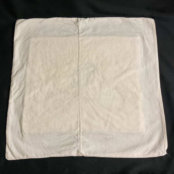 Vintage 1930s Hand Embroidered Pillow Cover Beautiful Lady 19x19