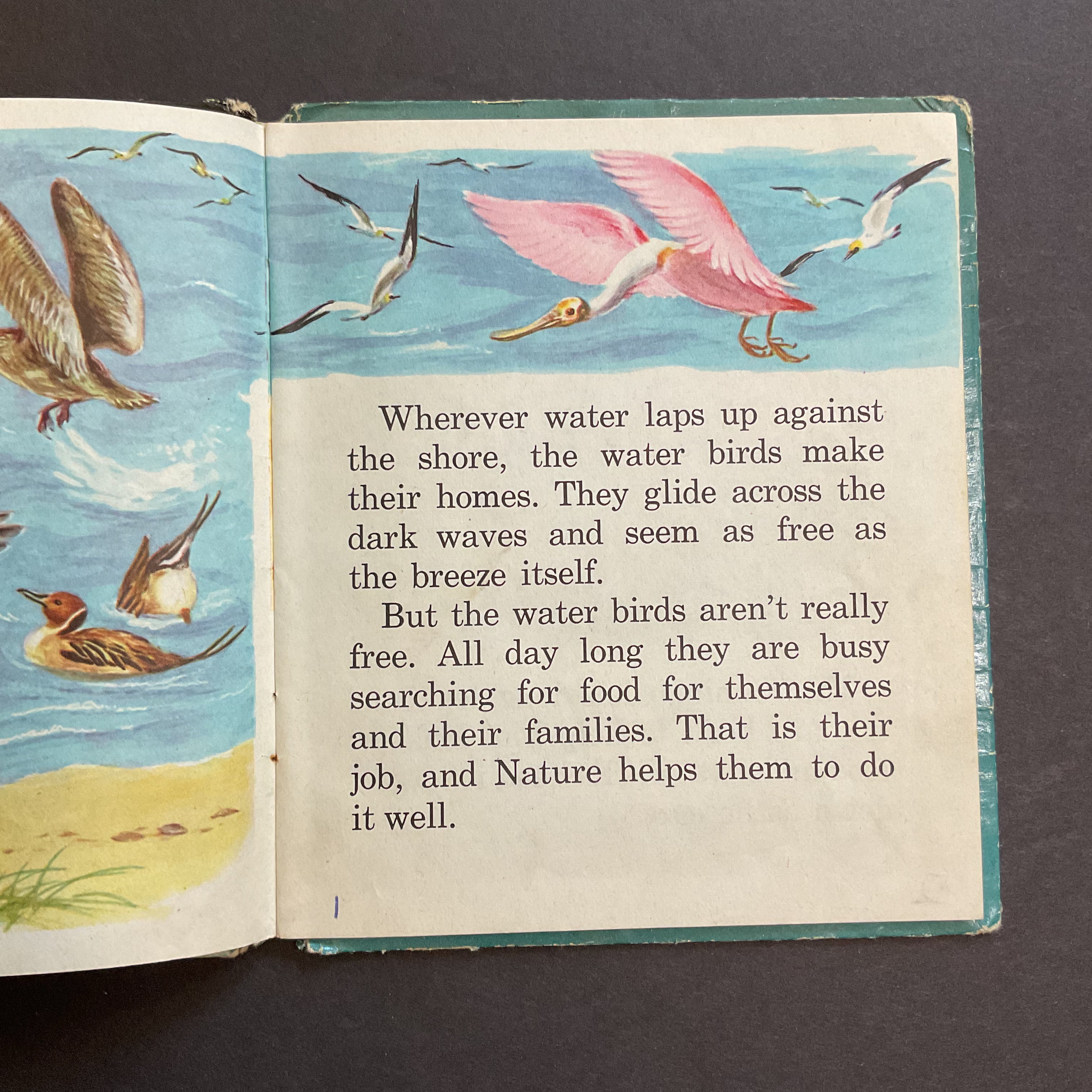 Vintage 1955 Whitman Tell A Tale Childrens Book Water Birds