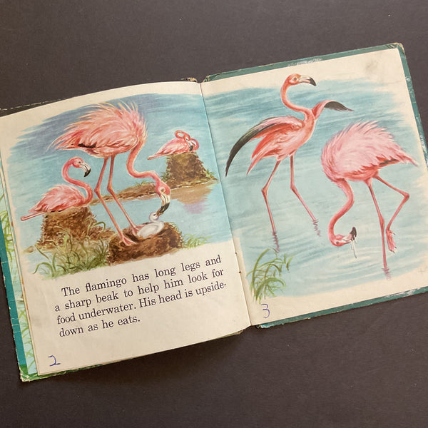 Vintage 1955 Whitman Tell A Tale Childrens Book Water Birds