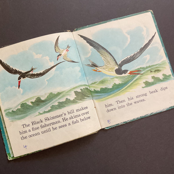 Vintage 1955 Whitman Tell A Tale Childrens Book Water Birds