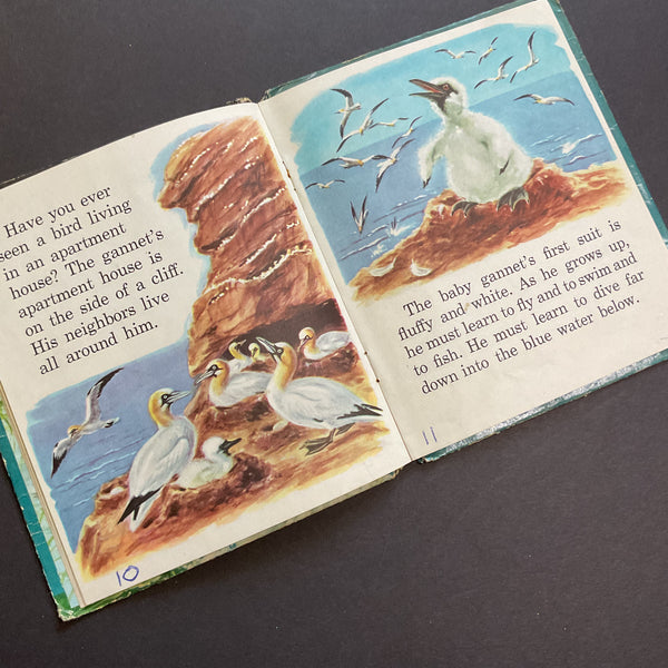 Vintage 1955 Whitman Tell A Tale Childrens Book Water Birds