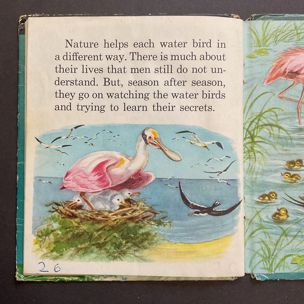 Vintage 1955 Whitman Tell A Tale Childrens Book Water Birds