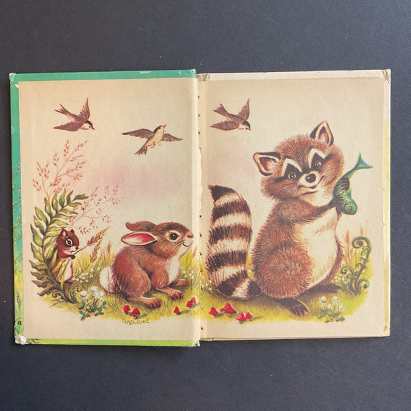 Vintage 1961 Childrens Book Little Raccoon by Mabel Watts Junior Elf 8081