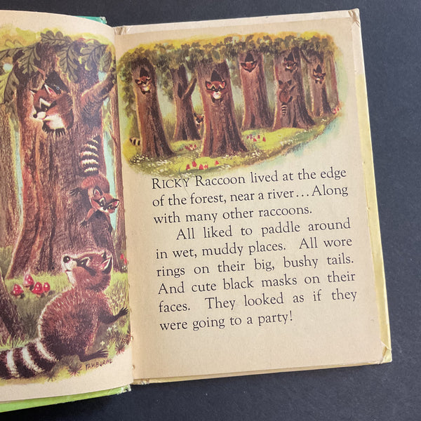Vintage 1961 Childrens Book Little Raccoon by Mabel Watts Junior Elf 8081
