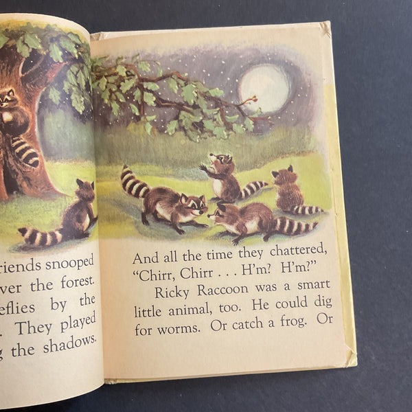 Vintage 1961 Childrens Book Little Raccoon by Mabel Watts Junior Elf 8081