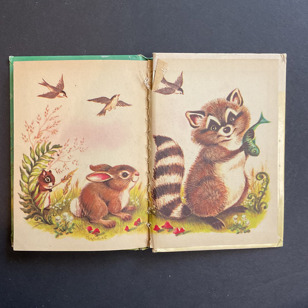 Vintage 1961 Childrens Book Little Raccoon by Mabel Watts Junior Elf 8081