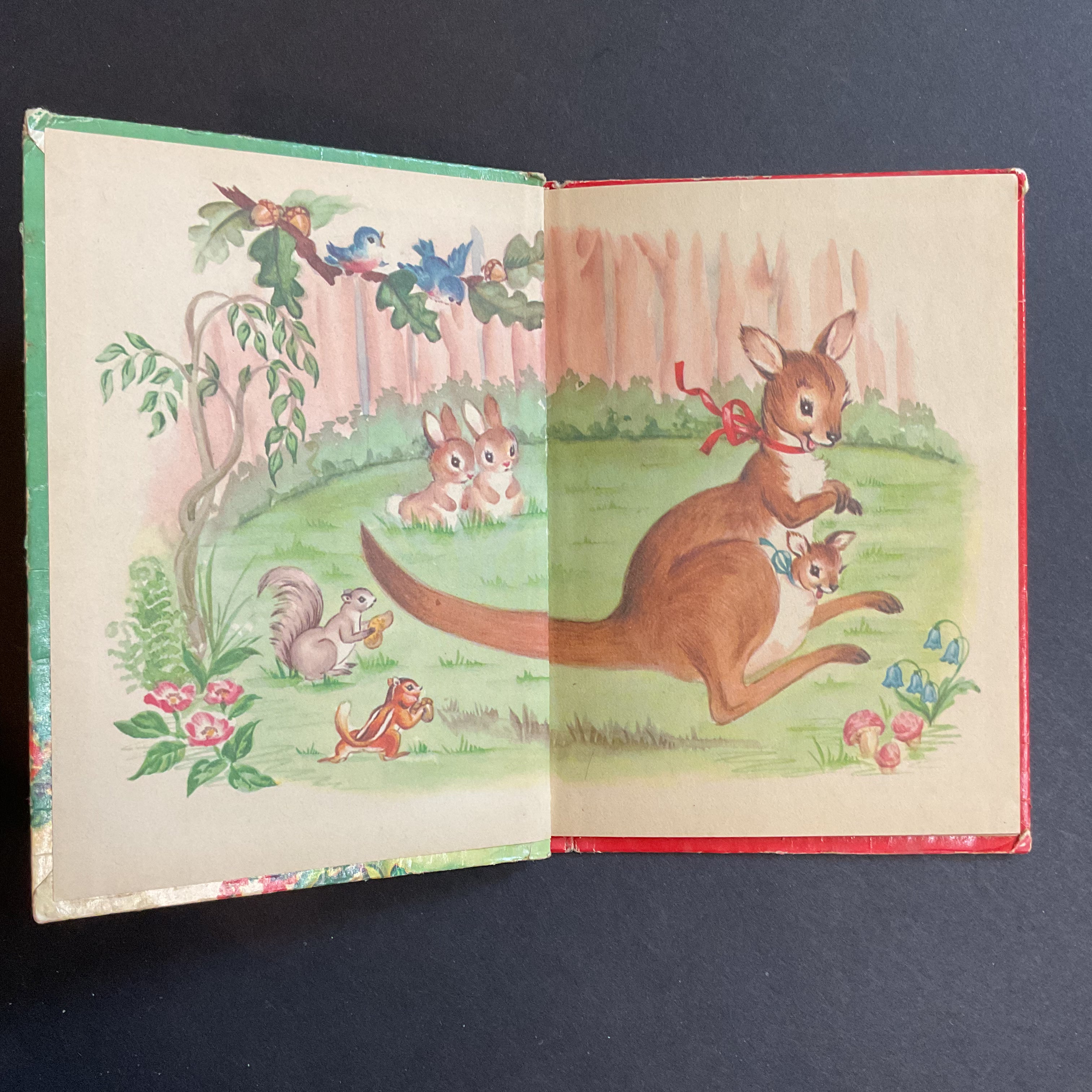 The Runaway Kangaroos Vintage 1959 Childrens Book by Eliza Lewis Junior Elf 8004 - Avid Vintage