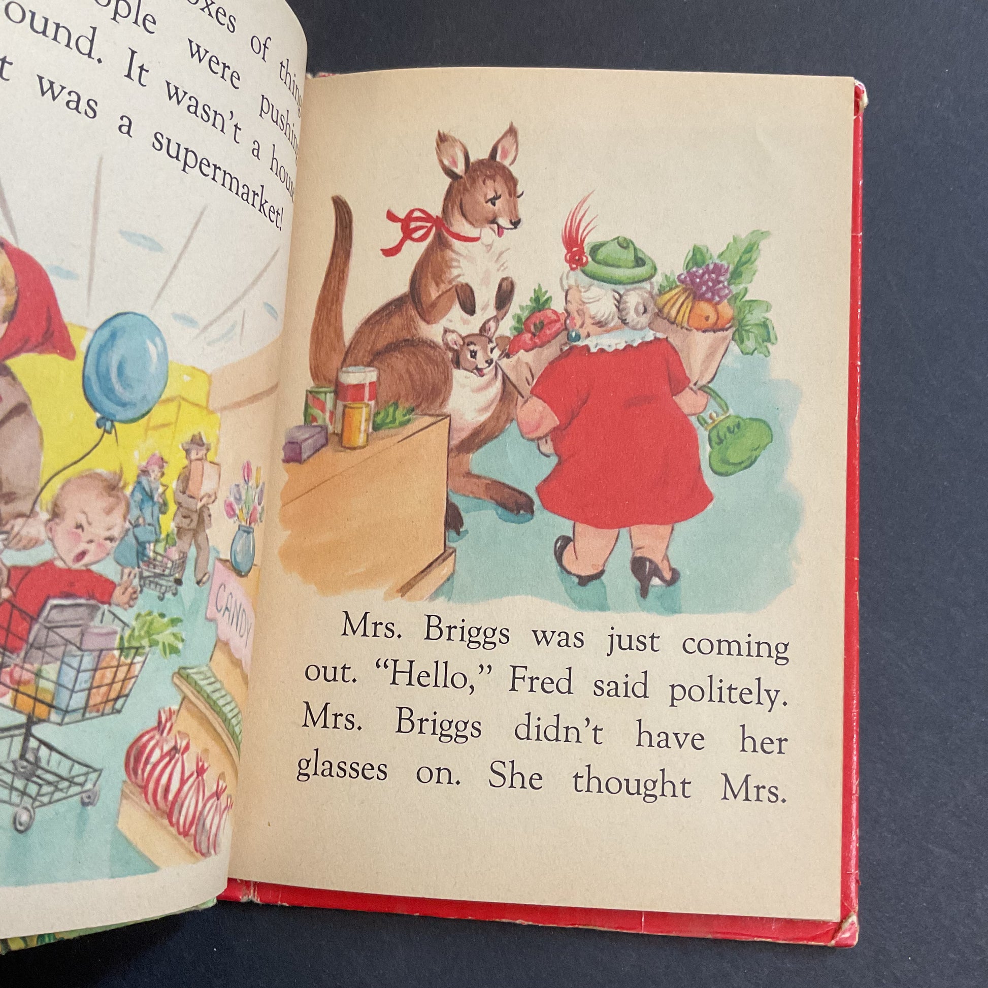 The Runaway Kangaroos Vintage 1959 Childrens Book by Eliza Lewis Junior Elf 8004 - Avid Vintage