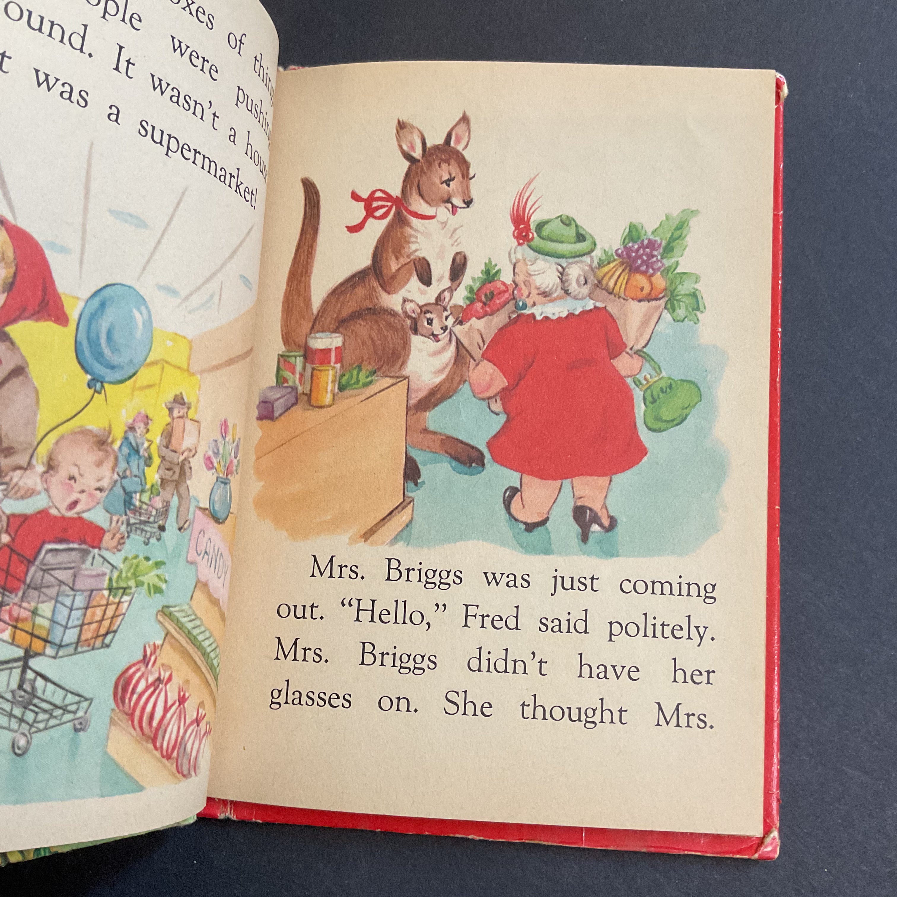 The Runaway Kangaroos Vintage 1959 Childrens Book by Eliza Lewis Junior Elf 8004 - Avid Vintage