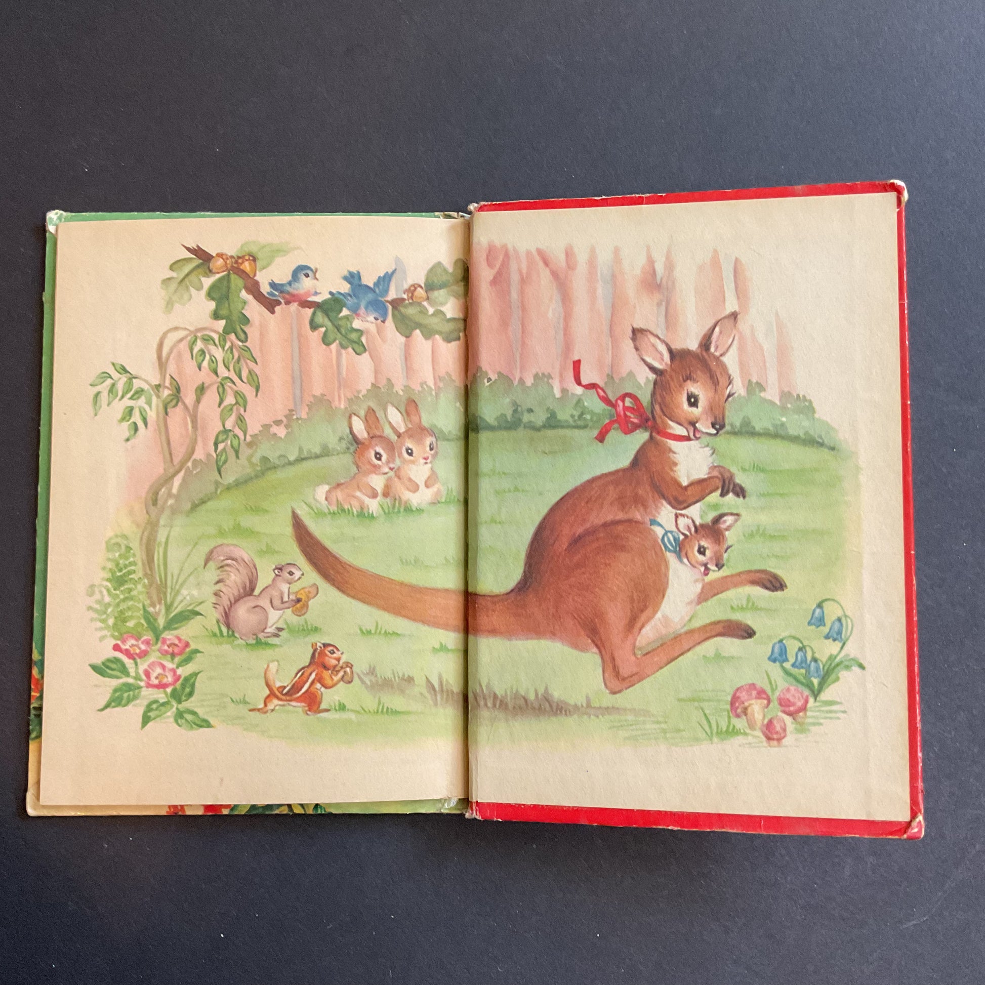 The Runaway Kangaroos Vintage 1959 Childrens Book by Eliza Lewis Junior Elf 8004 - Avid Vintage