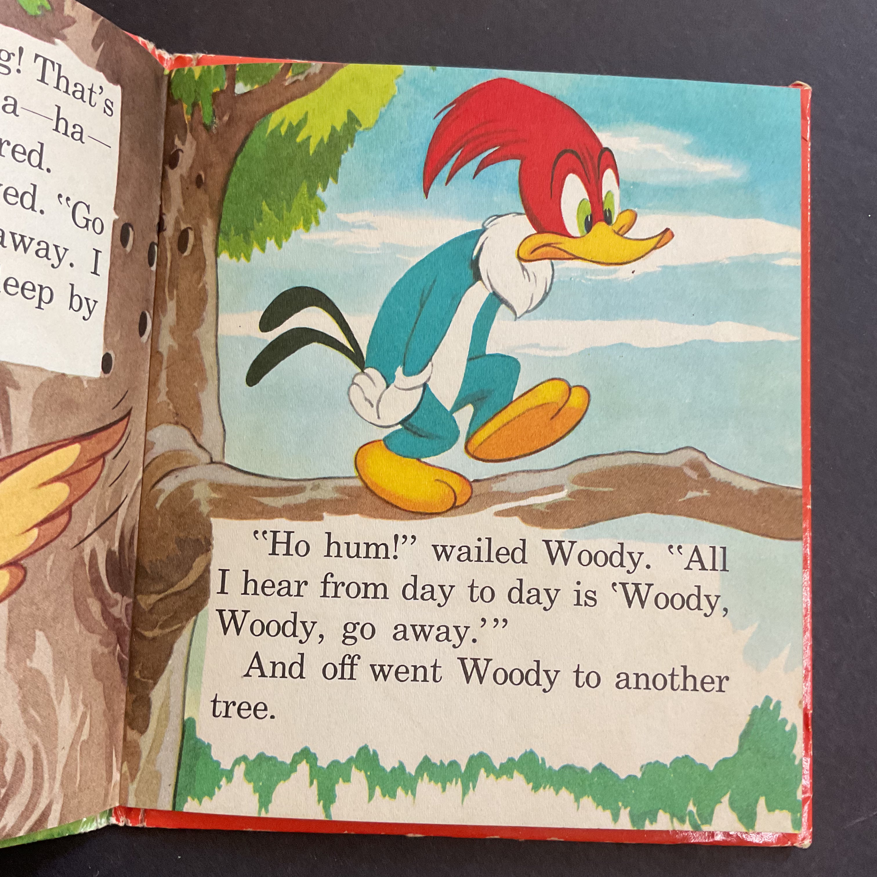 Woody Woodpecker’s Peck of Trouble Vintage 1951 Whitman Childrens Book