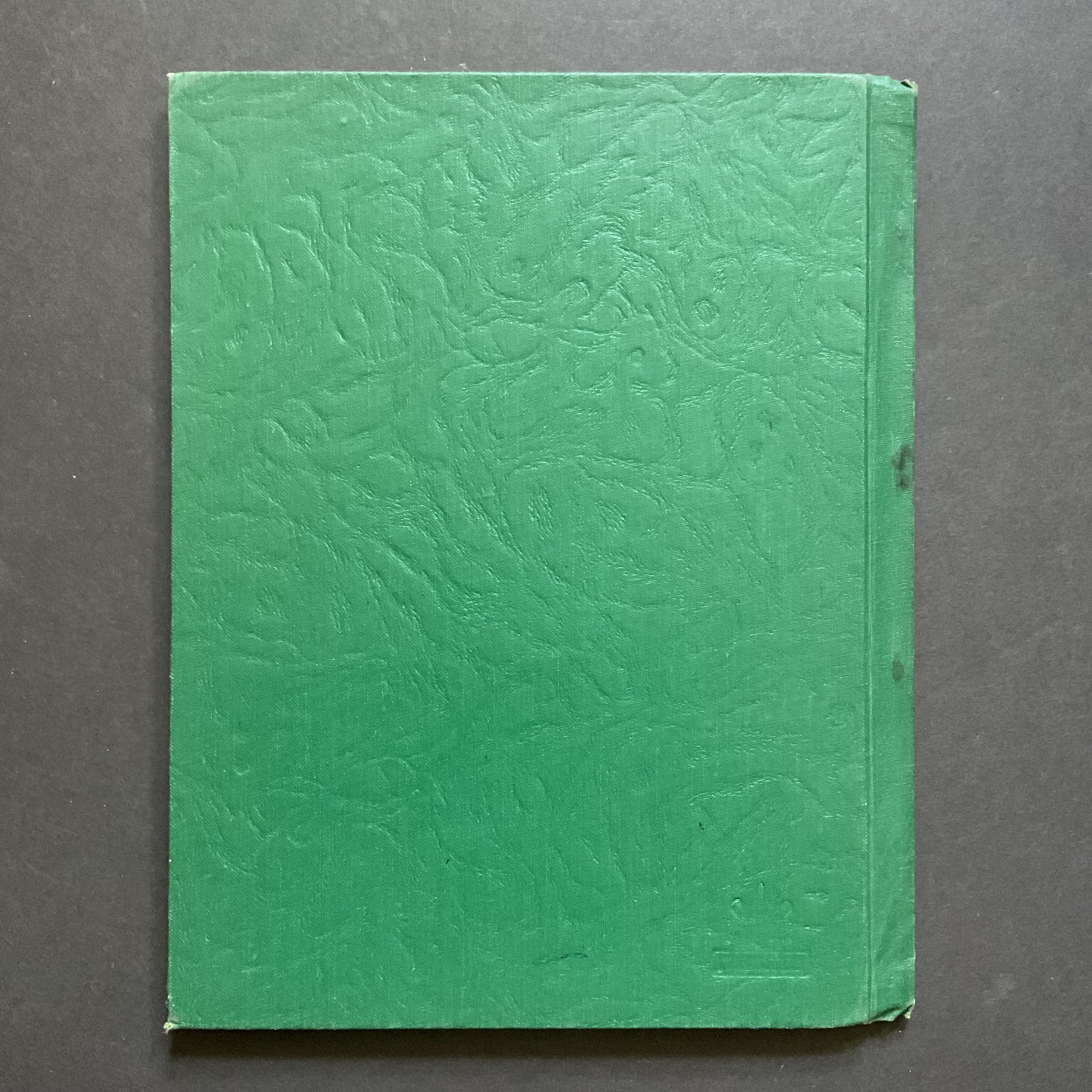 1953 Summerfield Kansas High School Yearbook The Shamrock Senior Photos - Avid Vintage