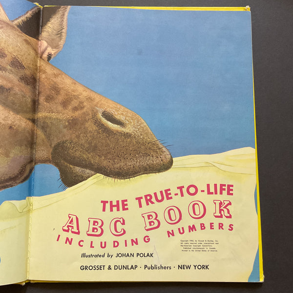 The True To Life ABC Book 1952 Hardcover