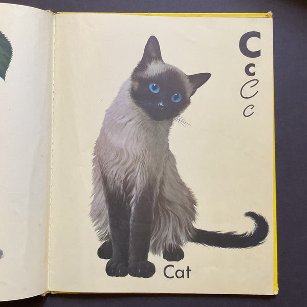 The True To Life ABC Book 1952 Hardcover