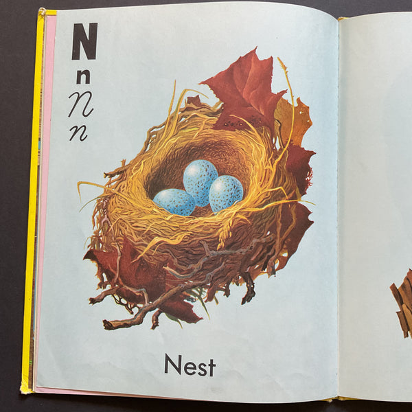 The True To Life ABC Book 1952 Hardcover