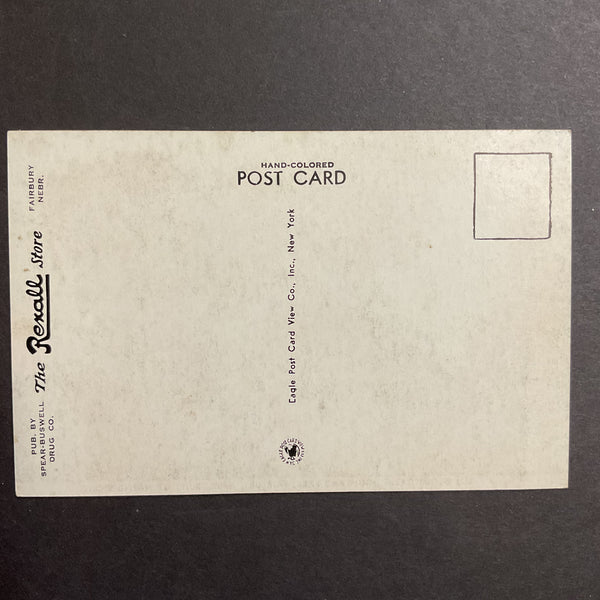 Vintage Town View Postcard Boy Scout Cabin Fairbury Nebraska McNish Park