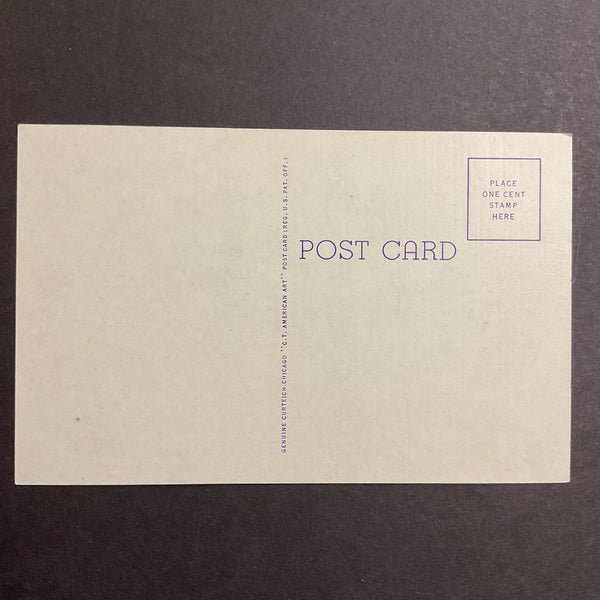 Superior Nebraska Vintage Town View Postcard Public Library