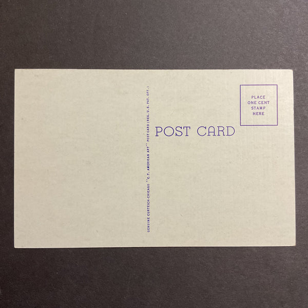 Superior Nebraska Vintage Town View Postcard South School