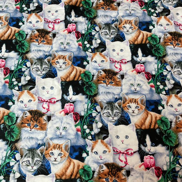 Novelty Cotton Fabric Jenny Newland Cats Kittens for David Textiles 44 x 1 Yard Material