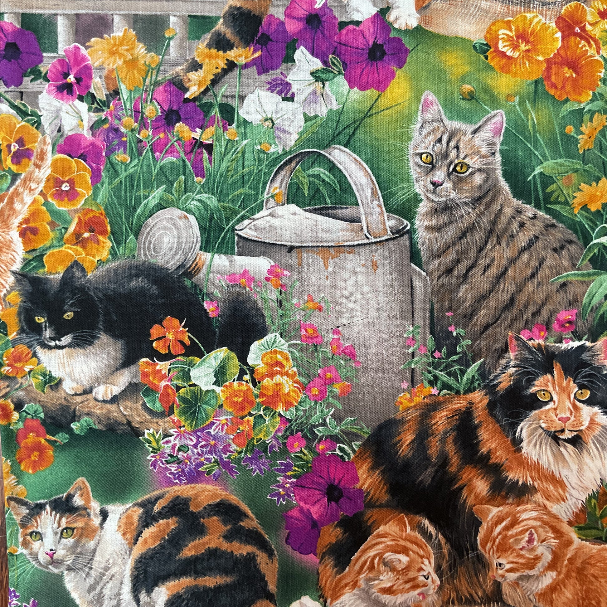 Susan Bourdet Novelty Cotton Fabric Wild Wings Cats Kittens for David Textiles 44 x 1 Yard Material - Avid Vintage