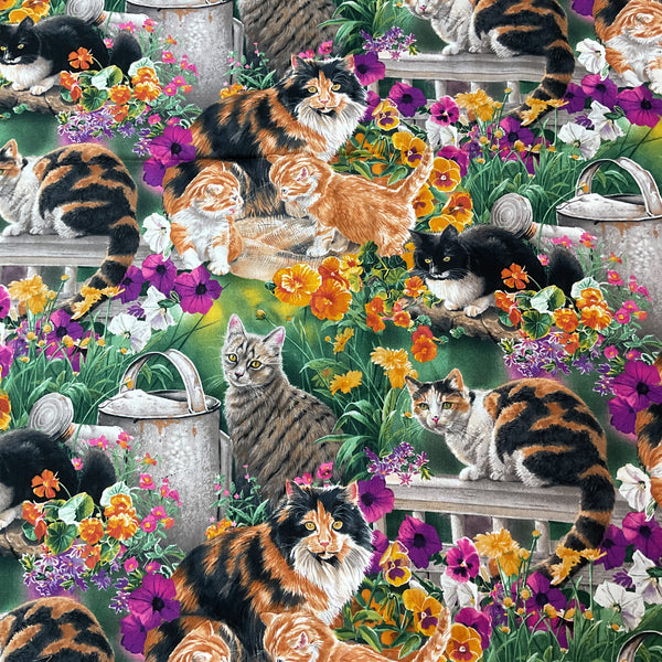 Susan Bourdet Novelty Cotton Fabric Wild Wings Cats Kittens for David Textiles 44 x 1 Yard Material