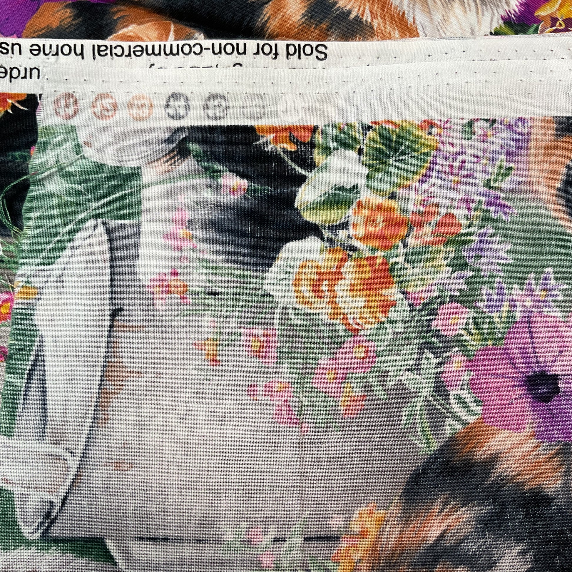 Susan Bourdet Novelty Cotton Fabric Wild Wings Cats Kittens for David Textiles 44 x 1 Yard Material - Avid Vintage