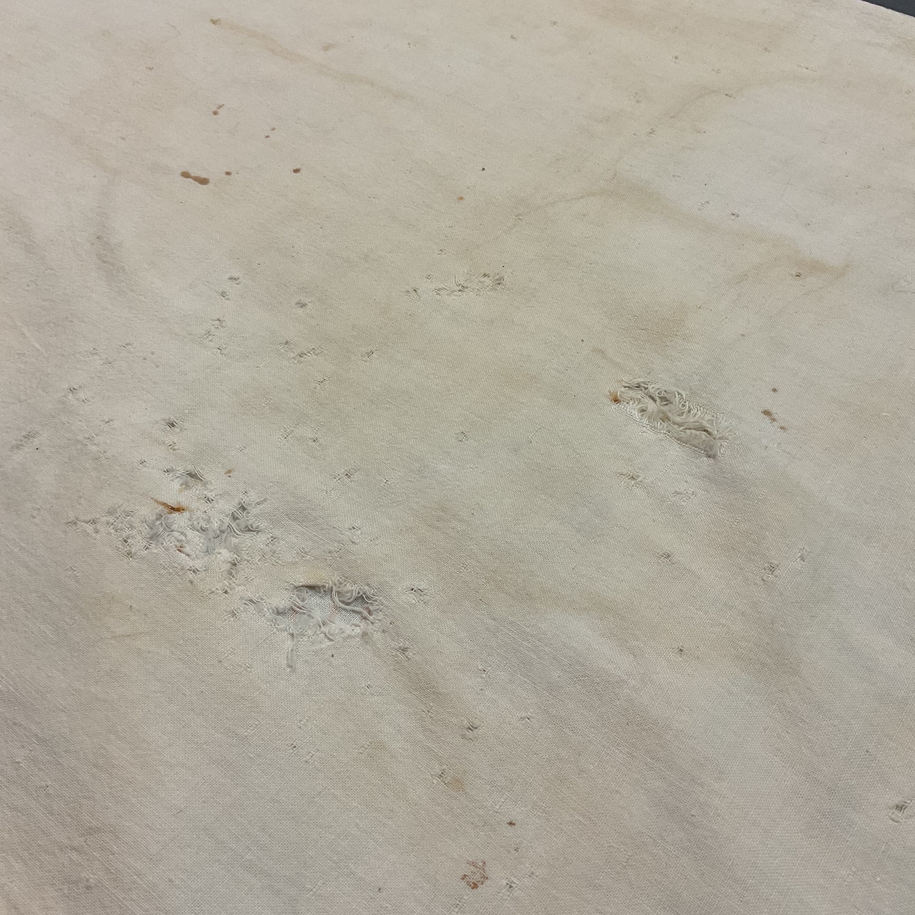 Vintage 1950s Gooch’s Best 100 lb Cloth Feed Sack Baby Chick