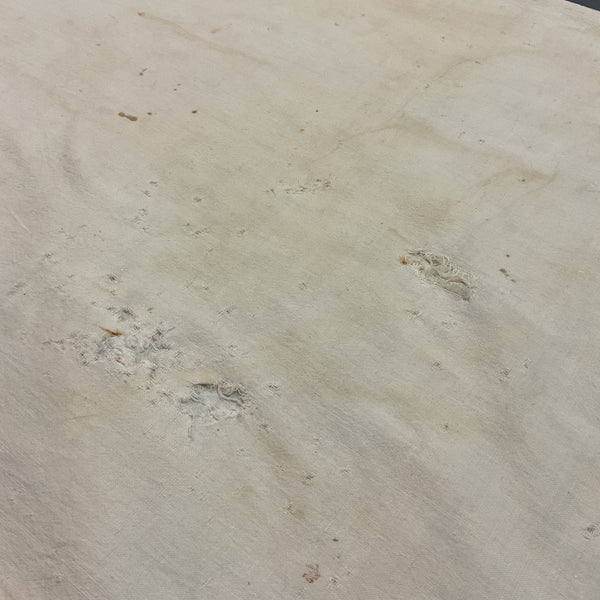 Vintage 1950s Gooch’s Best 100 lb Cloth Feed Sack Baby Chick