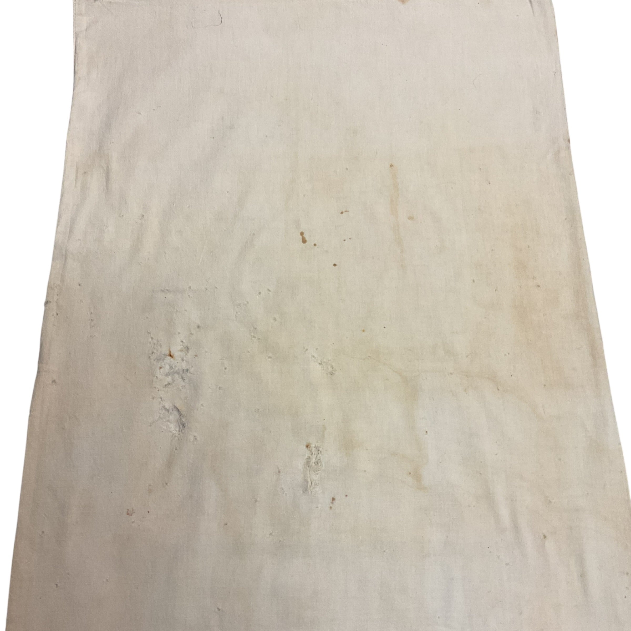 Vintage 1950s Gooch’s Best 100 lb Cloth Feed Sack Baby Chick