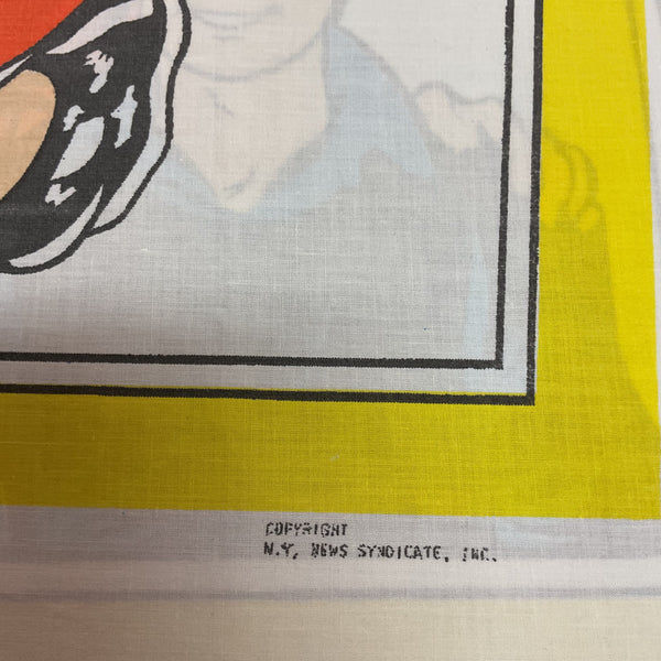 Vintage 1970s Comic Strip Pillowcase Little Orphan Annie 30x20