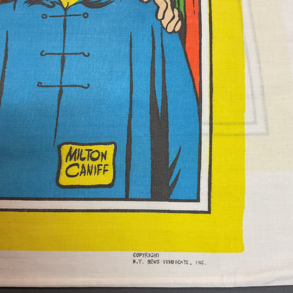 Vintage 1970s Comic Strip Pillowcase Little Orphan Annie 30x20