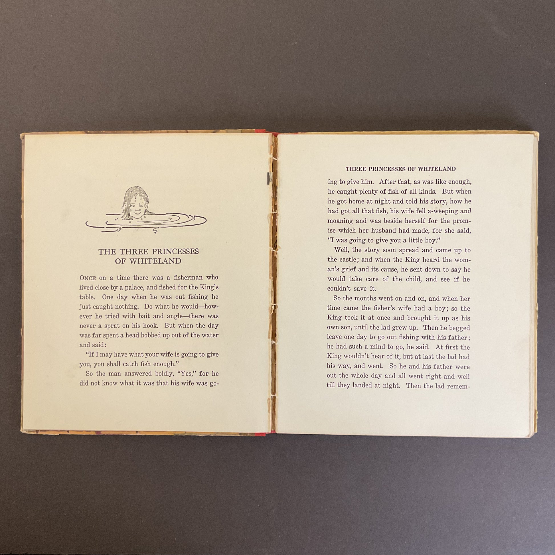 The Goose Girl Antique Children’s Book 1926 Illustrated Hardcover Saalfield - Avid Vintage