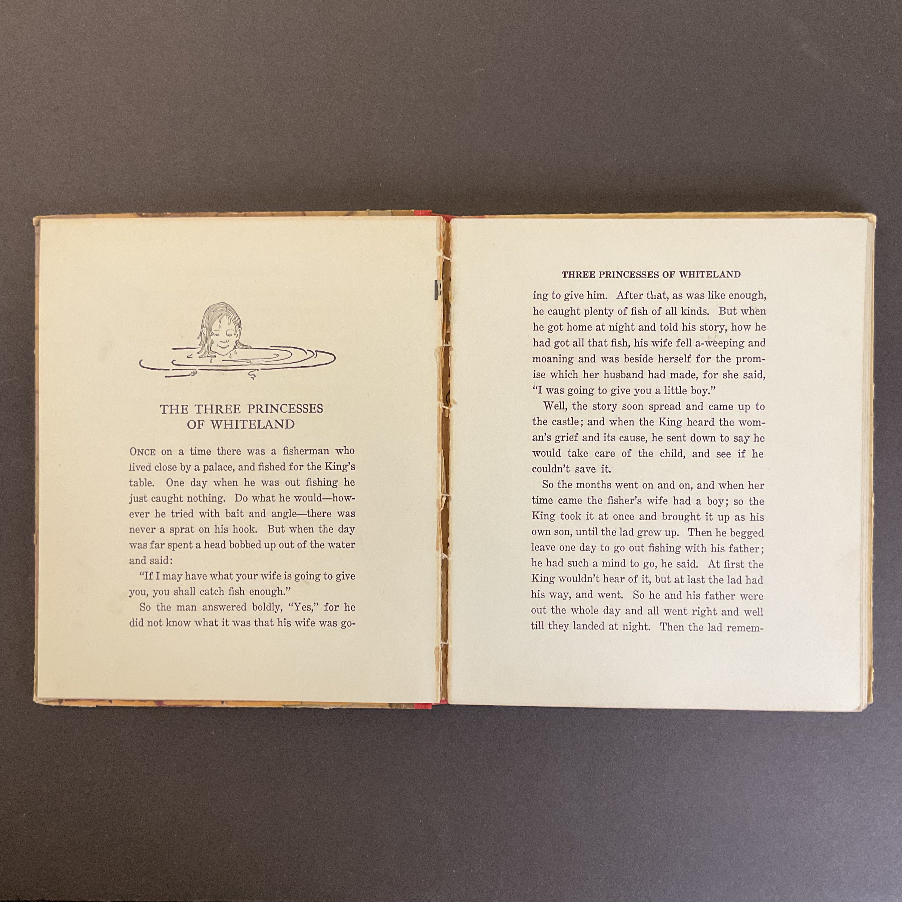 The Goose Girl Antique Children’s Book 1926 Illustrated Hardcover Saalfield - Avid Vintage