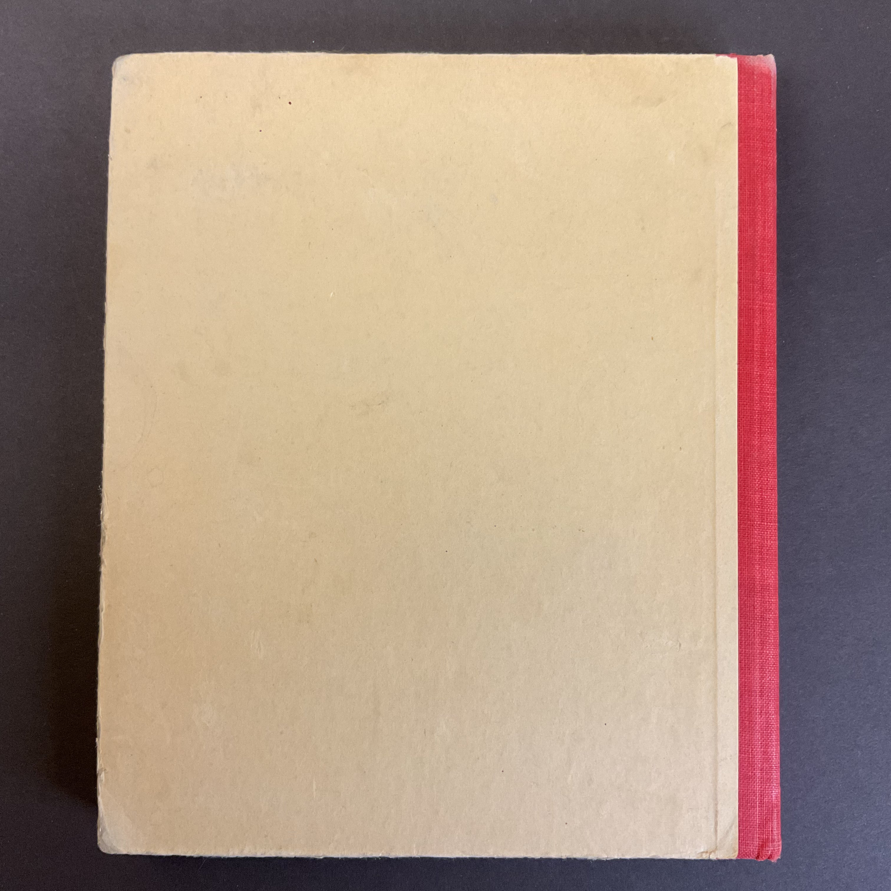 The Goose Girl Antique Children’s Book 1926 Illustrated Hardcover Saalfield - Avid Vintage