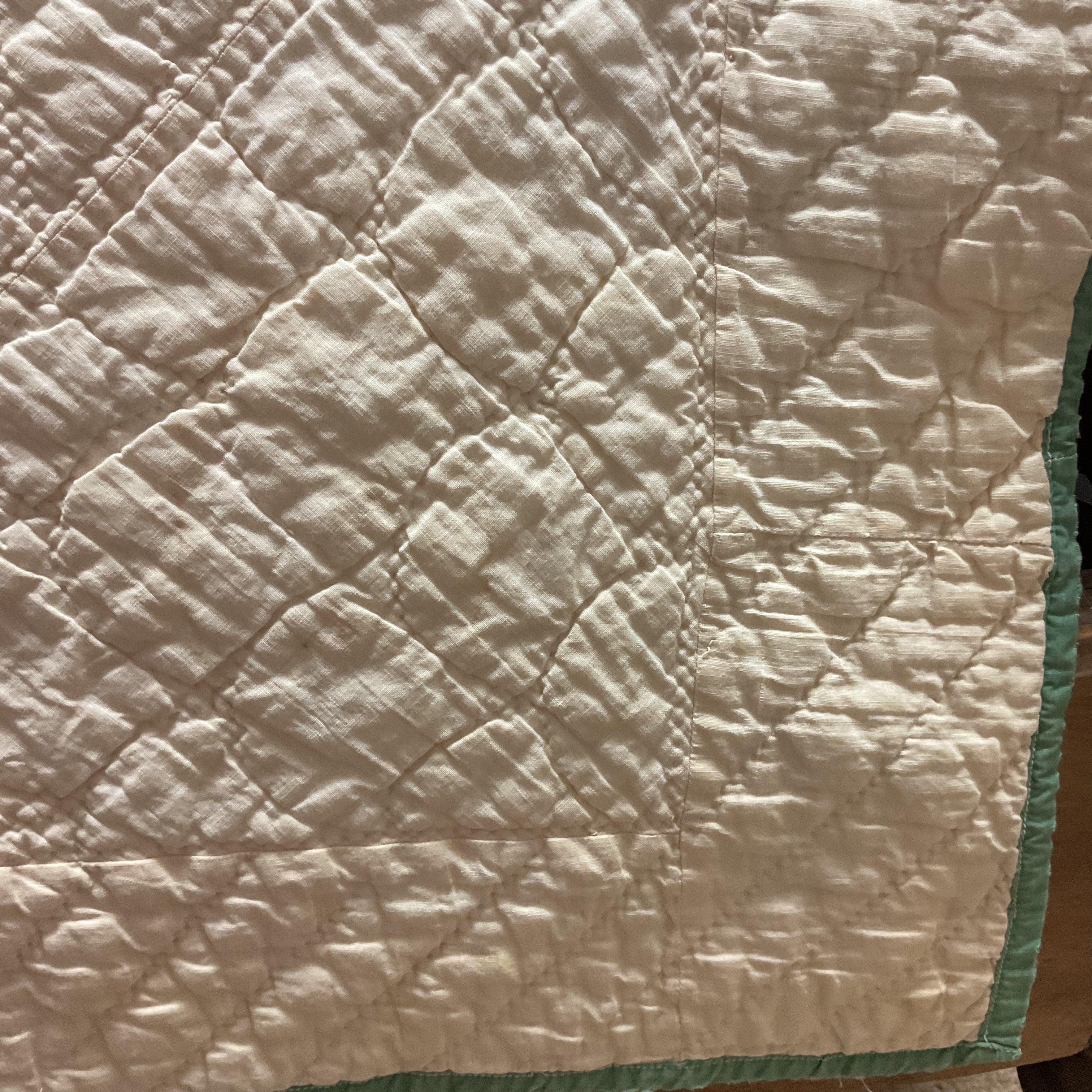 Vintage Appliqué Tulip Cutter Quilt Hand Quilted - Avid Vintage