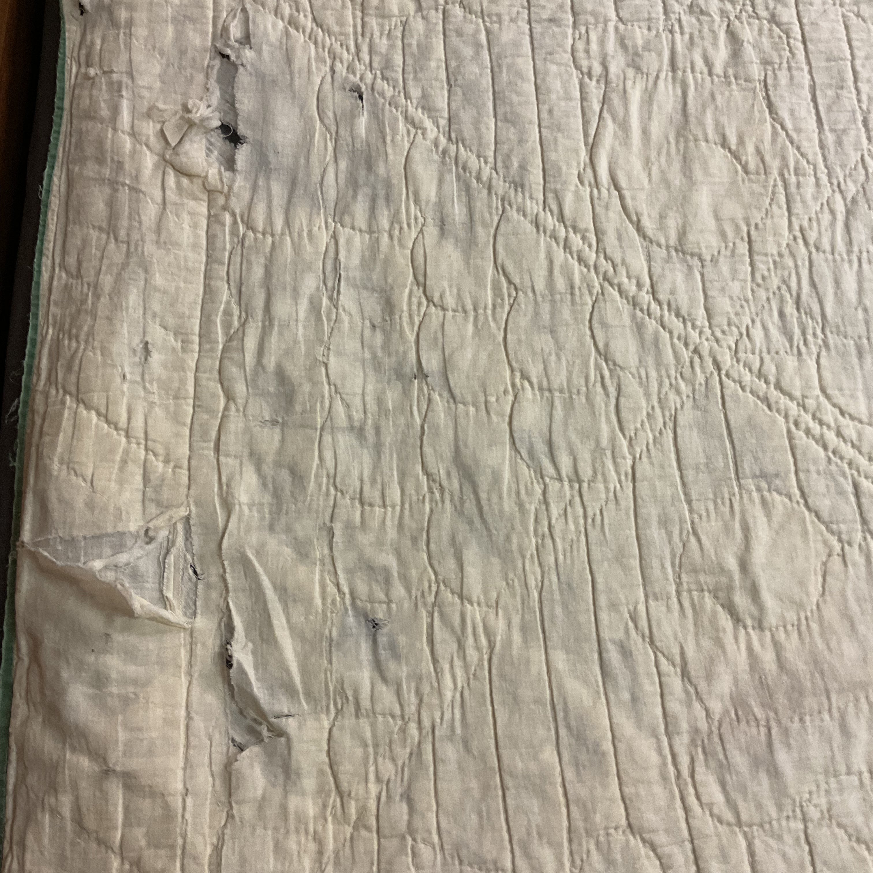 Vintage Appliqué Tulip Cutter Quilt Hand Quilted - Avid Vintage