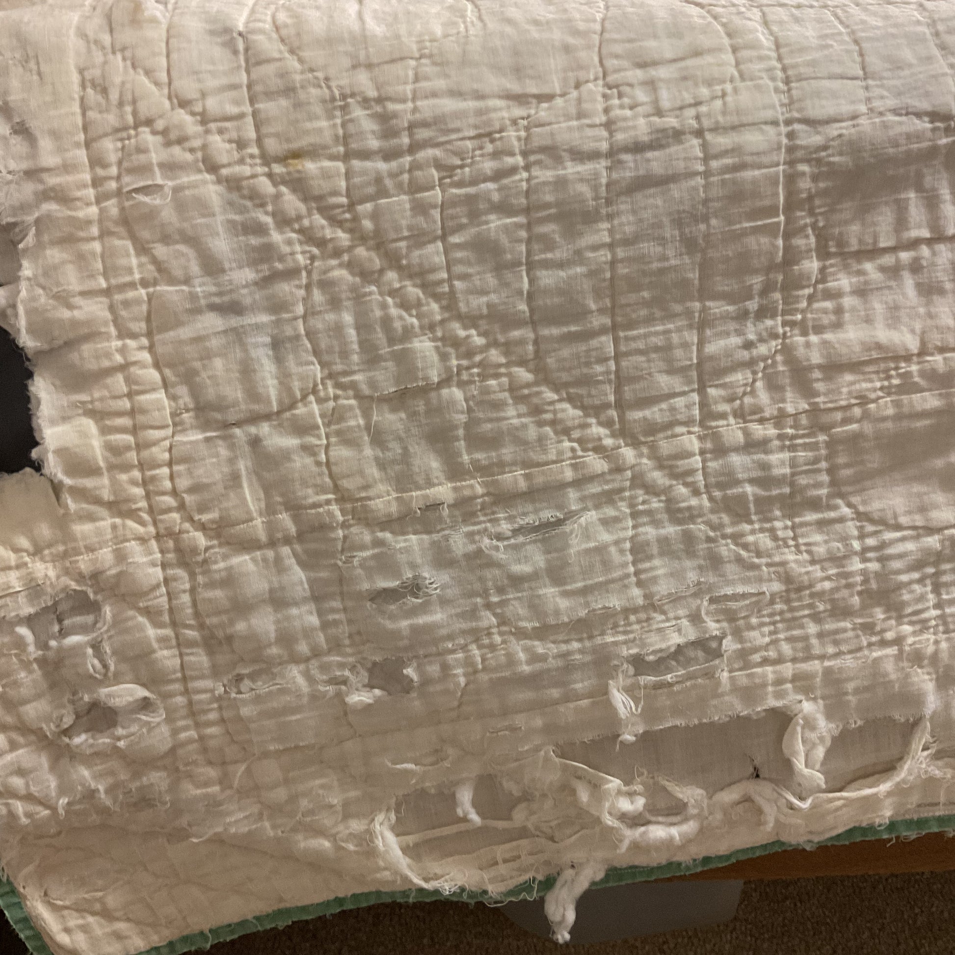 Vintage Appliqué Tulip Cutter Quilt Hand Quilted - Avid Vintage