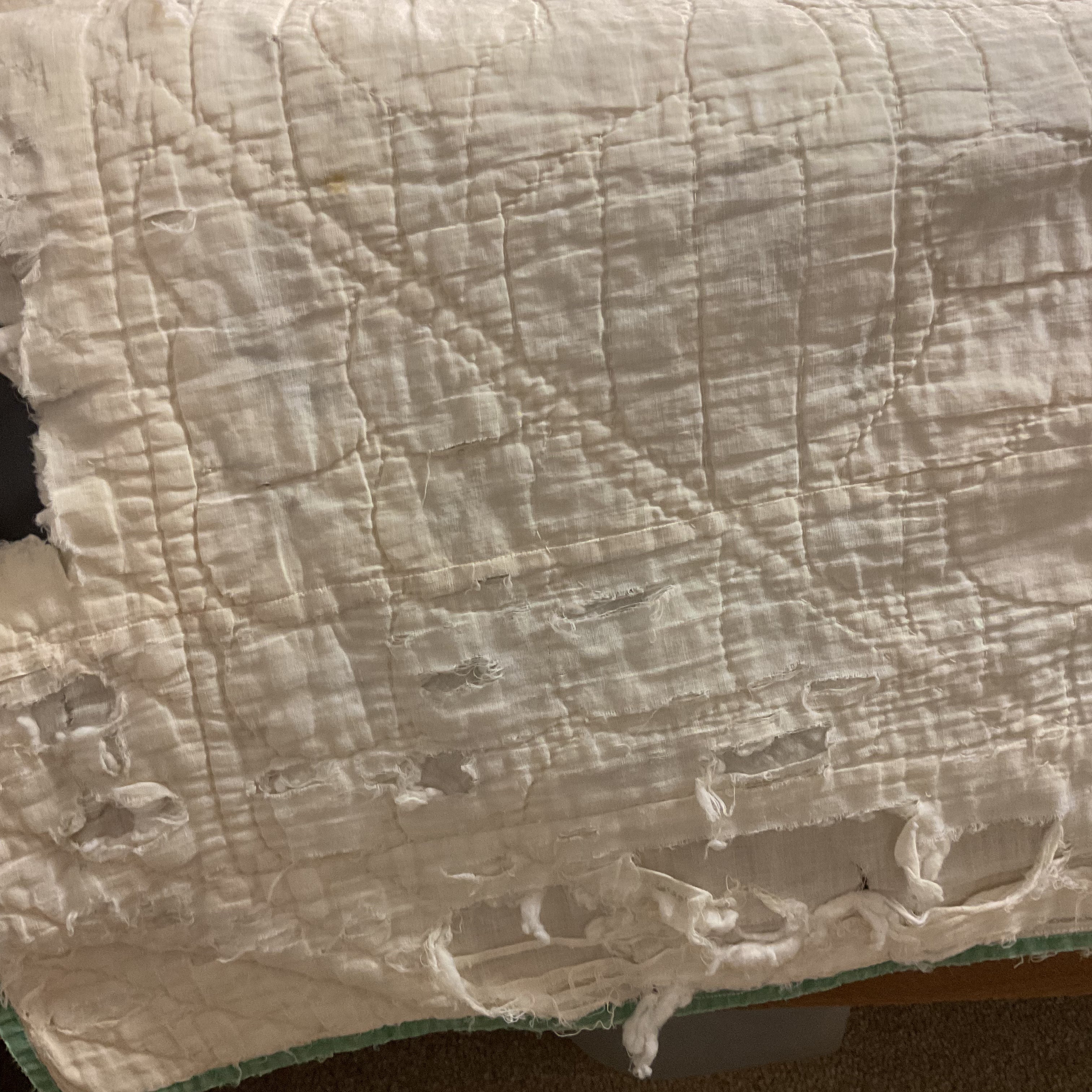 Vintage Appliqué Tulip Cutter Quilt Hand Quilted - Avid Vintage