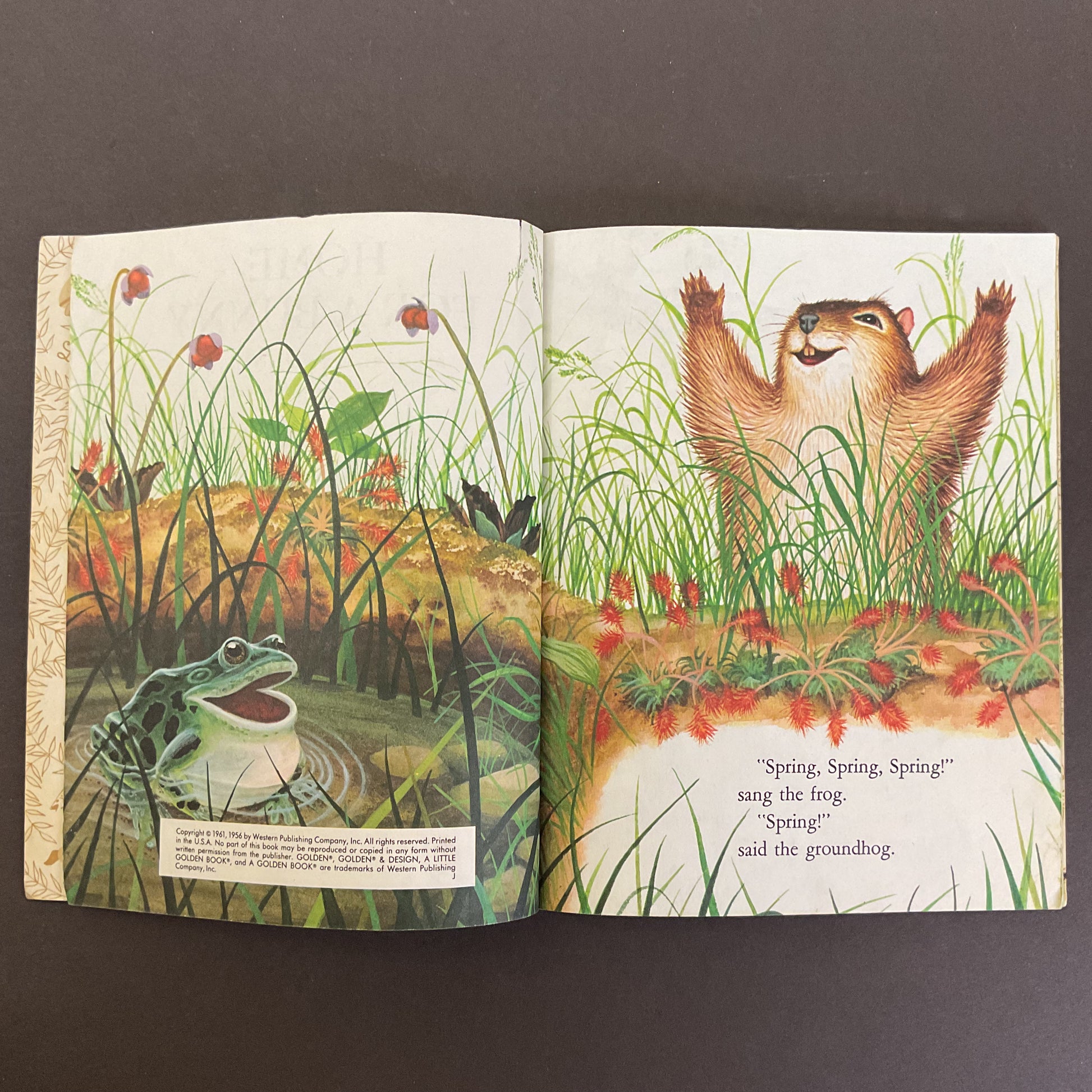 Home For A Bunny Vintage 1961 Hardcover Little Golden Book - Avid Vintage